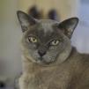 View the image: OLYMPUS DIGITAL CAMERA