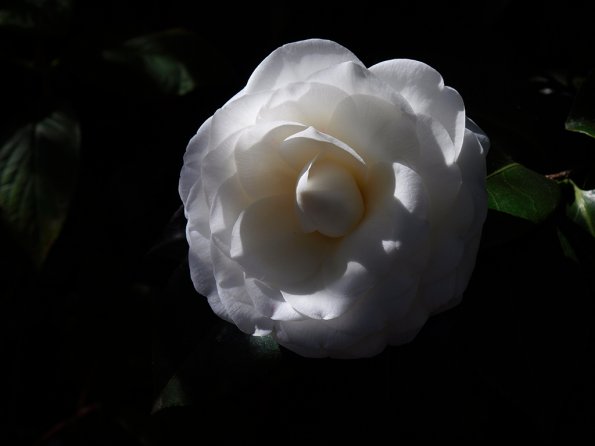 Olympus E-30
