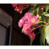 View the image: Olympus OM-D E-M1 MILC