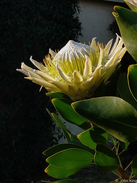 IMG_20250522_144337-199