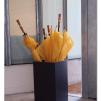 View the image: Tarrawarra Art Gallery & Winery - Buildings  & Surrounds