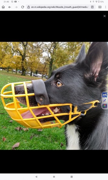 Muzzle_CC_Screenshot_20240704-214051