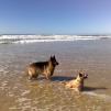 View the image: With Nokia N95