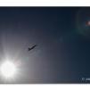 View the image: F18 Super Hornet out of the Sun
Olympus E-30