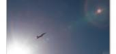 View the Album: aircraft
 2 images