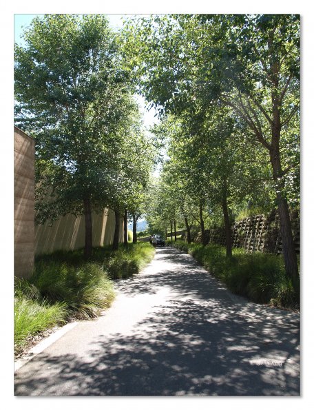 Tarrawarra Art Gallery & Winery - Buildings  & Surrounds