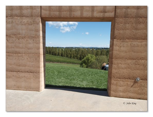 Tarrawarra Art Gallery & Winery - Buildings  & Surrounds