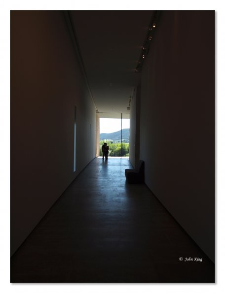 Tarrawarra Art Gallery & Winery - Buildings  & Surrounds