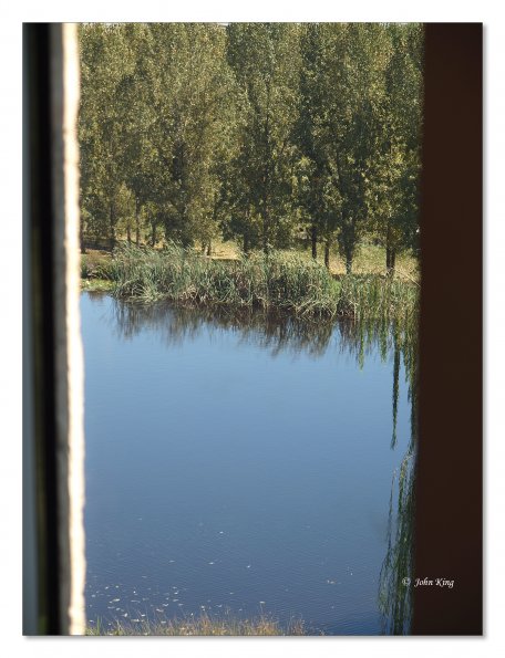 Tarrawarra Art Gallery & Winery - Buildings  & Surrounds