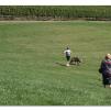 View the image: Tarrawarra Art Gallery & Winery - Buildings  & Surrounds