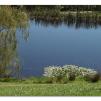 View the image: Tarrawarra Art Gallery & Winery - Buildings  & Surrounds
