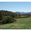 View the image: Tarrawarra Art Gallery & Winery - Buildings  & Surrounds