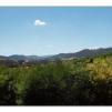 View the image: Tarrawarra Art Gallery & Winery - Buildings  & Surrounds