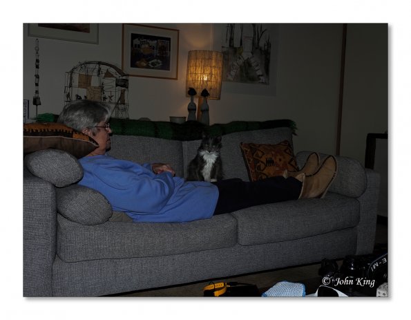 OLYMPUS DIGITAL CAMERA