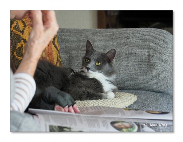 OLYMPUS DIGITAL CAMERA