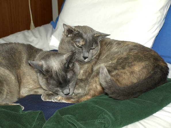 E-510_JAK_2008-_C163542_E