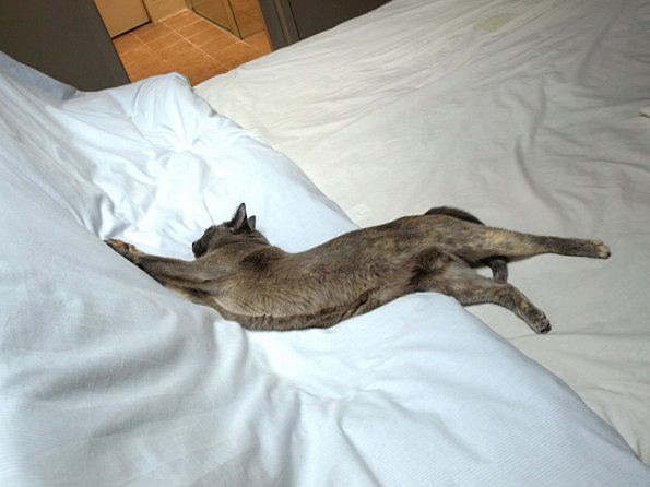 E-510_JAK_2008-_C223595_E