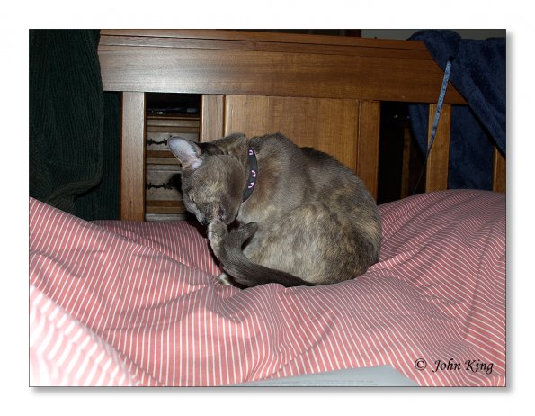 18 minutes in the life of Rosa
Olympus E-510