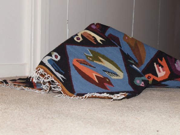 Rosa under Peruvian runner rug