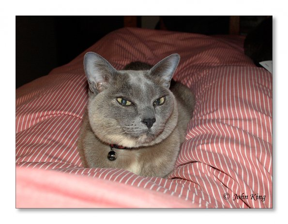 18 minutes in the life of Rosa
Olympus E-510 + f/2.8 25mm Pancake