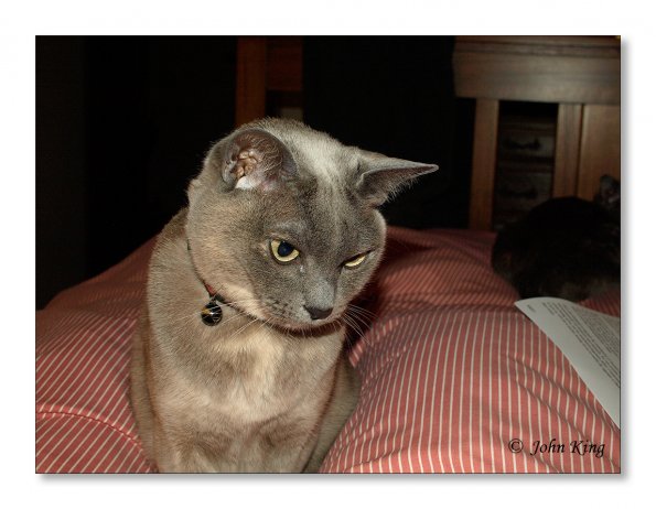 18 minutes in the life of Rosa
Olympus E-510 + f/2.8 25mm Pancake