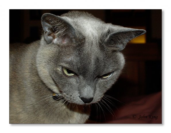 18 minutes in the life of Rosa
Olympus E-510 + f/2.8 25mm Pancake