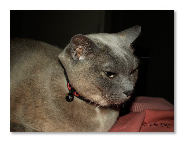 18 minutes in the life of Rosa
Olympus E-510 + f/2.8 25mm Pancake