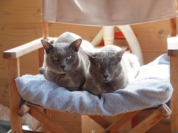 Rosa & Lizzie at Marengo