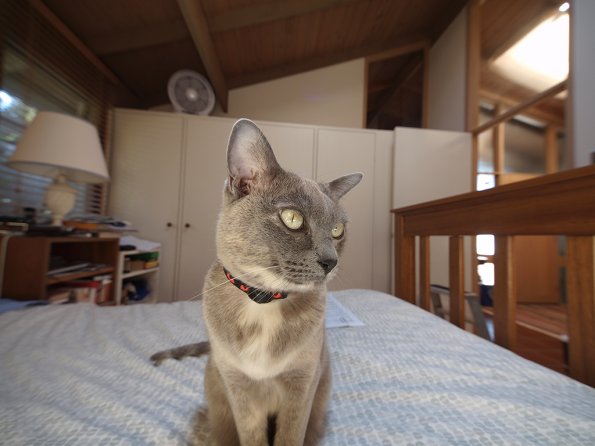 Rosa with E-30 & 7~14