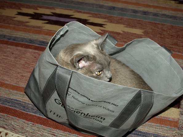 Rosa in the Guggenheim