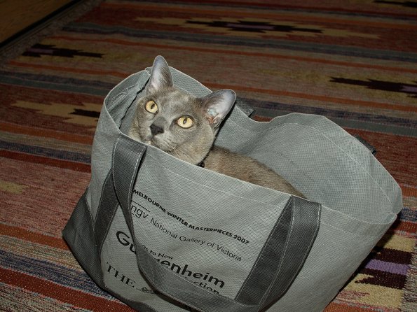 Rosa in the Guggenheim