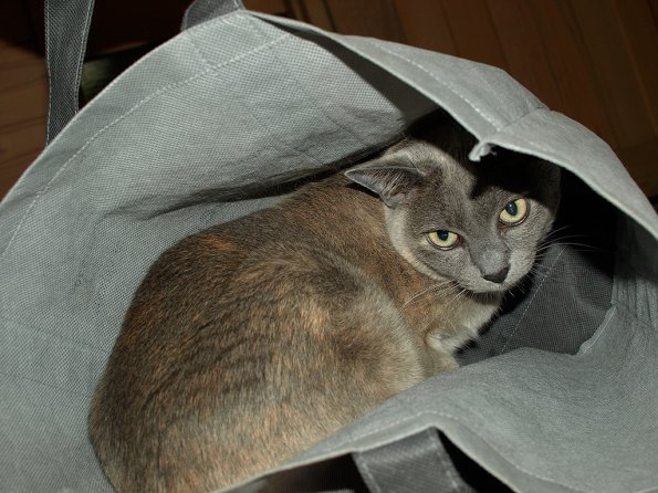 Rosa in the Guggenheim