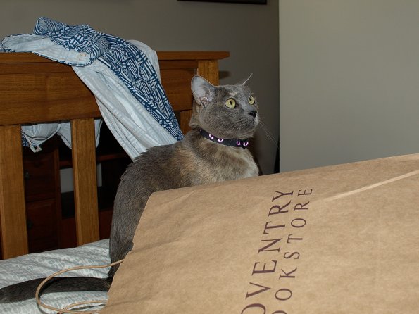 Lizzie Christmas Day 2009