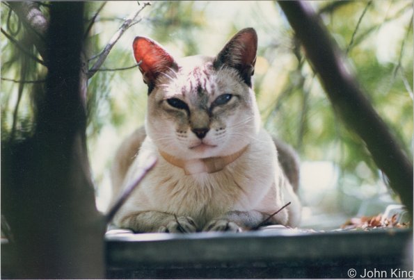 1980s_AA02__0014-188