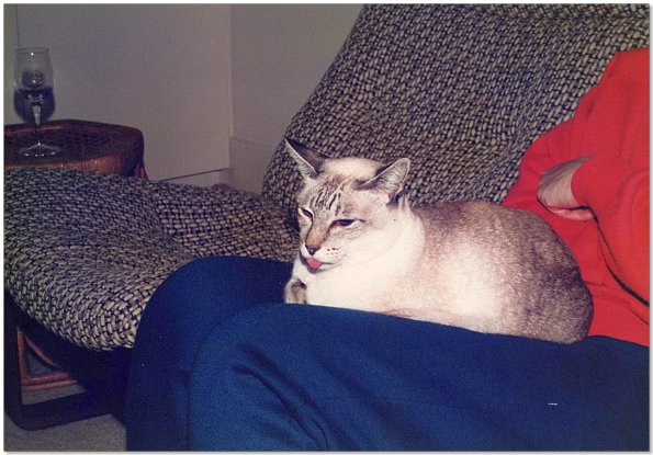 Epson_FF680-1980s_twinky__0007_e_eW