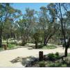 View the image: Shepparton Art Gallery