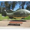 View the image: Tocumwal