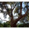 View the image: Lerderderg Gorge SP 23 May 2012