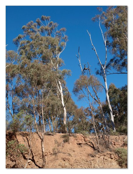 Lerderderg Gorge SP 23 May 2012