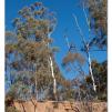 View the image: Lerderderg Gorge SP 23 May 2012