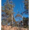 View the image: Lerderderg Gorge SP 23 May 2012