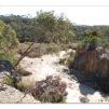 View the image: Lerderderg Gorge SP 23 May 2012