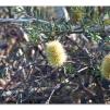 View the image: Lerderderg Gorge SP 23 May 2012