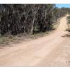 View the image: Lerderderg Gorge SP 23 May 2012