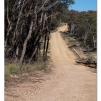 View the image: Lerderderg Gorge SP 23 May 2012