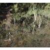 View the image: Lerderderg Gorge SP 23 May 2012