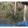 View the image: Lerderderg Gorge SP 23 May 2012