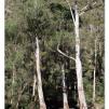 View the image: Lerderderg Gorge SP 23 May 2012