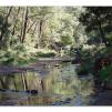 View the image: Lerderderg Gorge SP 23 May 2012