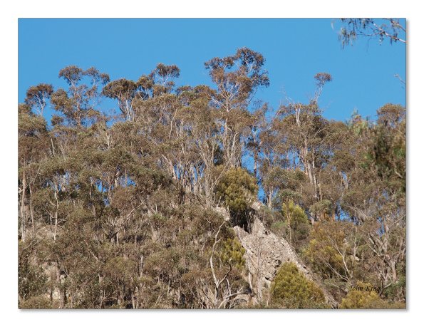 Lerderderg Gorge SP 23 May 2012